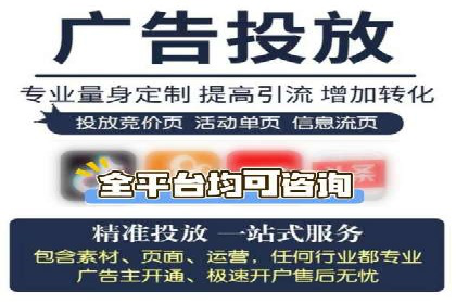网络推广与竞价优化成功案例